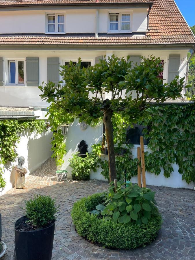 Murmeltier Hausen im Tal Luaran gambar