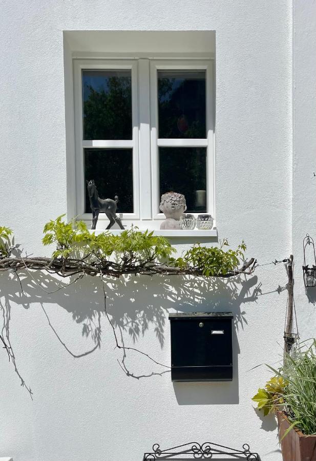 Murmeltier Hausen im Tal Luaran gambar